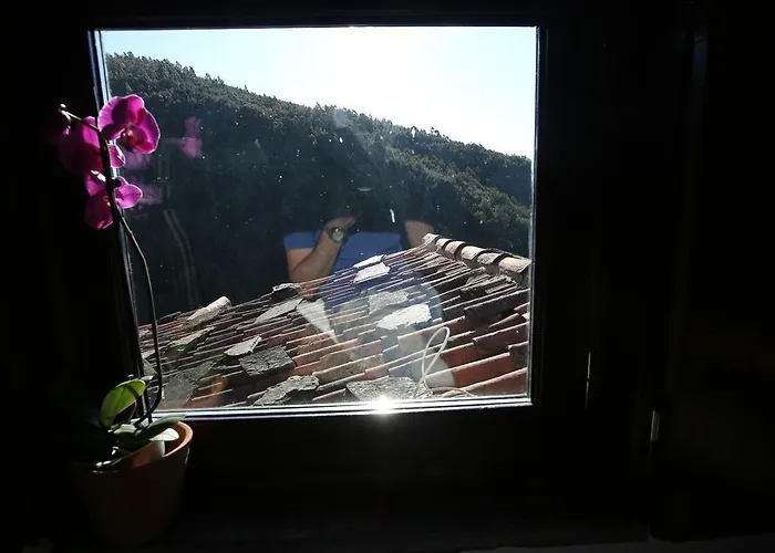 Feriehus Talasnal Montanhas De Amor Lousã